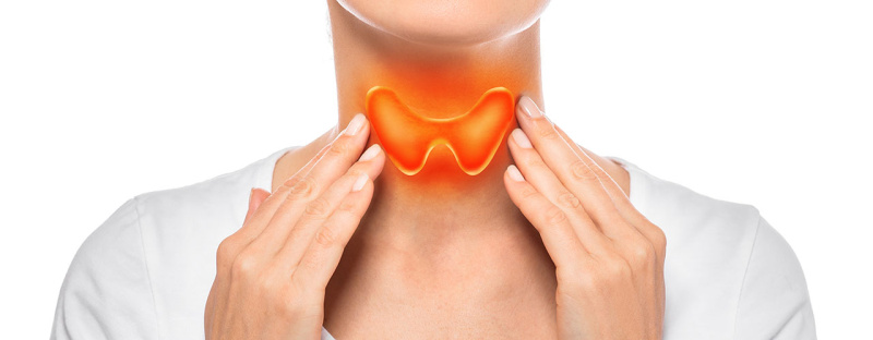 Как защитить «бабочку» на шее