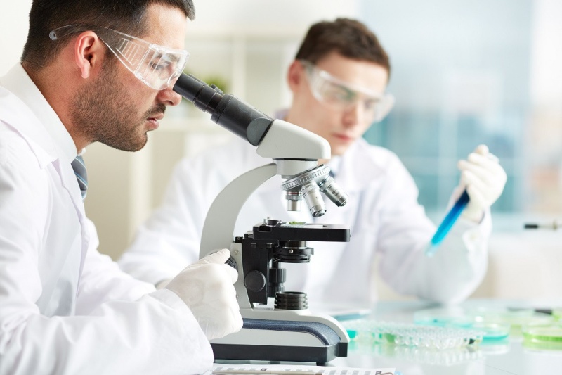 Исследование каротиноидов асцидии