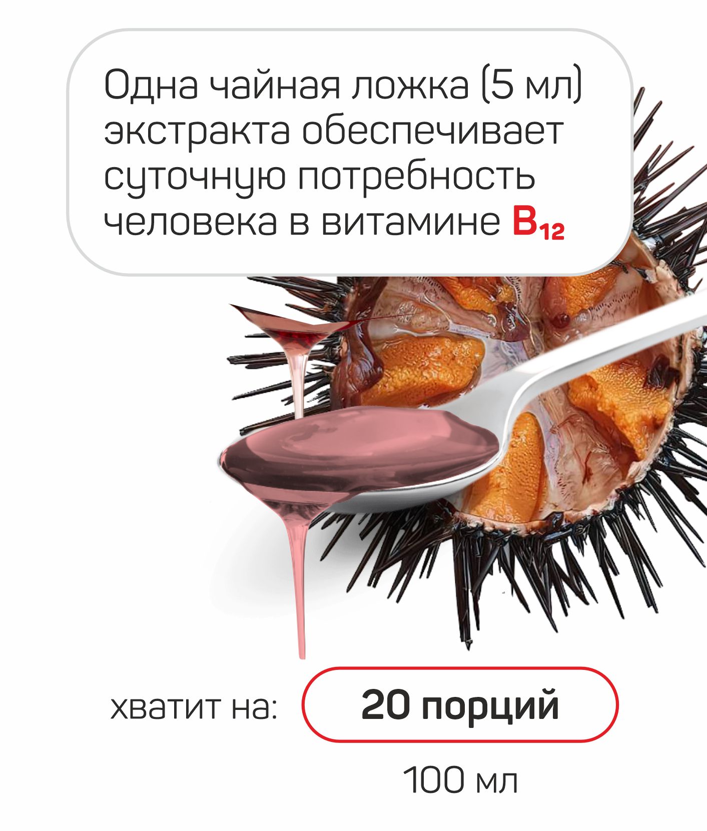 морской ёж картинка с текстом.jpg