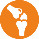 укрепляет суставы trepang-icon2.png
