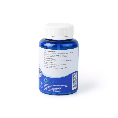 Морской гребешок