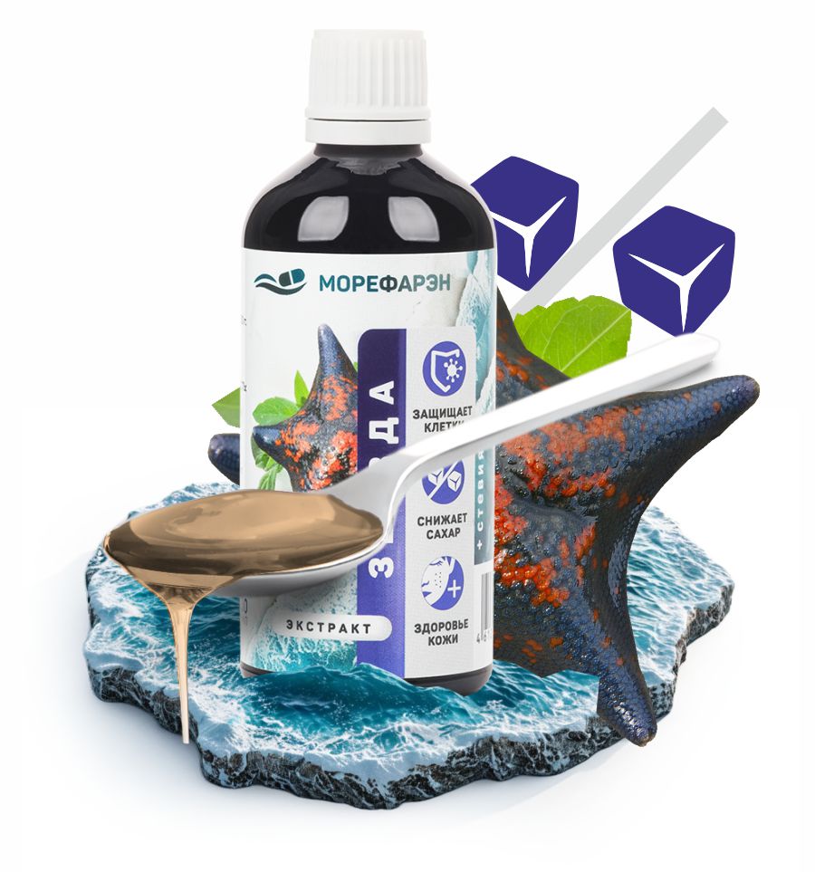 Морская звезда Морская звезда